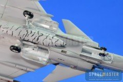 SAAB GRIPEN  036.jpg