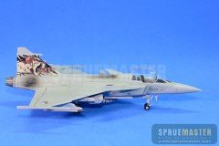 SAAB GRIPEN  041.jpg