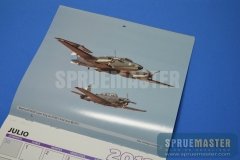 halcones-007