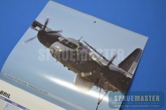 halcones-008