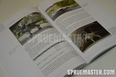 harpia_06