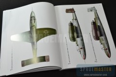TEMPEST- 10