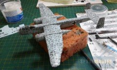 He-219-29