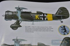 Henschel-Hs-123-008