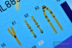 Hurricane-Mk-IIc-Trop_54