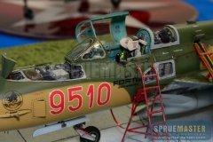 IPMS SJC  007