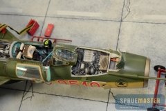 IPMS SJC  011