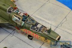 IPMS SJC  012
