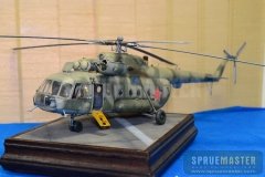 IPMS SJC  076