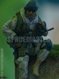 IPMS_SJC_18