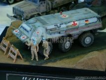 IPMS_SJC_30
