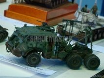 IPMS_SJC_34