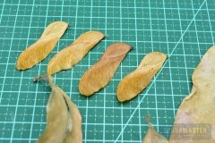 Leaf-Punch-002