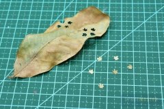 Leaf-Punch-019