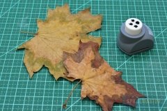 Leaf-Punch-022