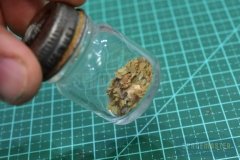 Leaf-Punch-037