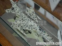 e-day_2011_0047