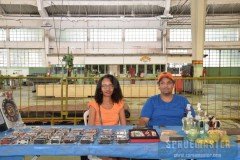 Lojas-GPPSD-009-2016