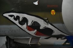 Walkaround-MIG-23-73