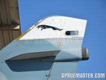 mirage_2000c_0085