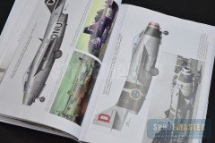 swedish-06