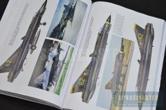 swedish-09