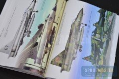 swedish-11