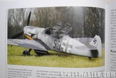 osprey_109_08