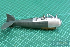 ms.230-Dora-Wings_106