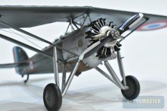 ms.230-Dora-Wings_16