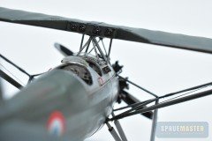 ms.230-Dora-Wings_19