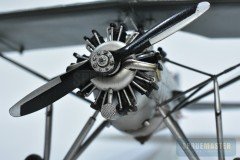 ms.230-Dora-Wings_2
