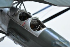 ms.230-Dora-Wings_29