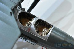 ms.230-Dora-Wings_30