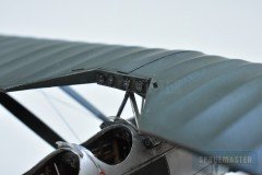 ms.230-Dora-Wings_8