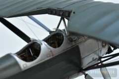 ms.230-Dora-Wings_9