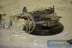 osprey_014