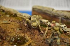 Open-GPBH-2018-249