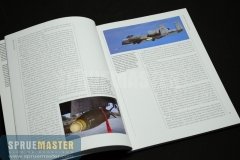 osprey_003