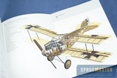 osprey_017