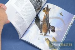 osprey_018