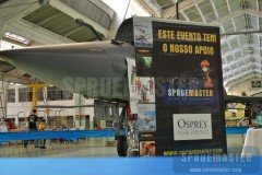 Osprey-002-2016