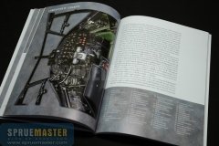 osprey_011