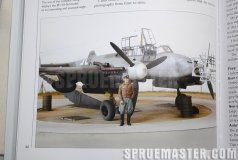 osprey_modelling_08