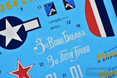 P-39-Airacobra_53