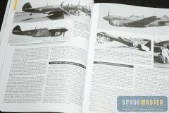 P-40 FAB   003
