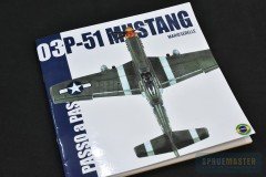 P51-Mustang-001