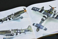 P51-Mustang-009