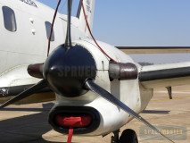 P95-Bandeirulha_22