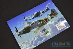 Polish-P51-06